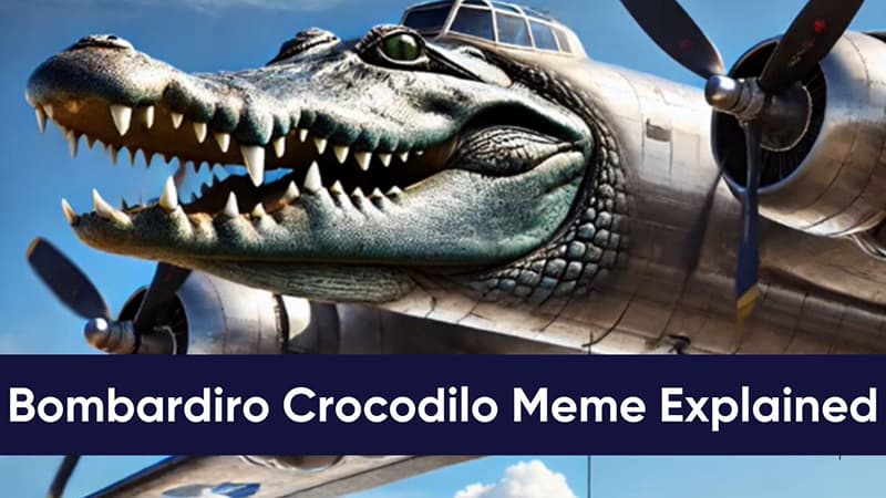 bombardilo explainded